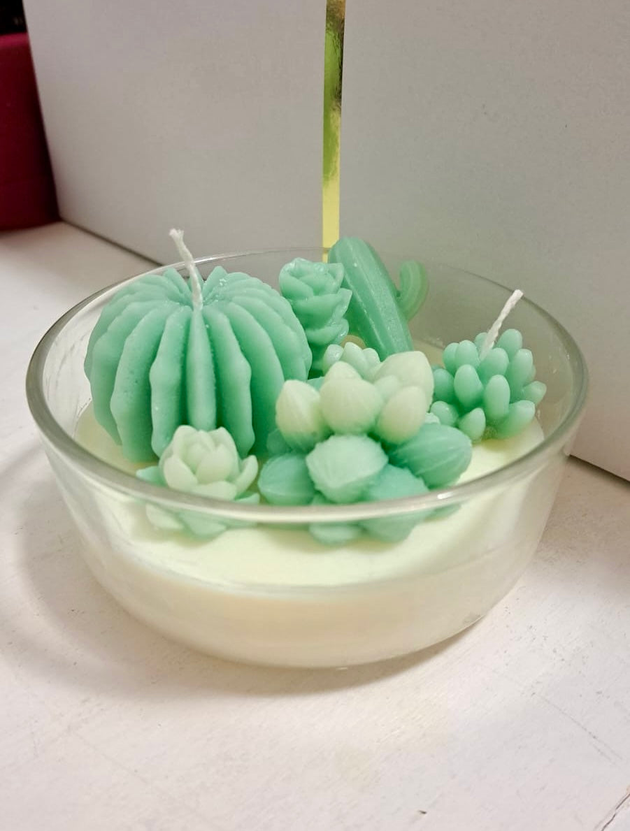 COMPOSIZIONE PIANTINE GRASSE