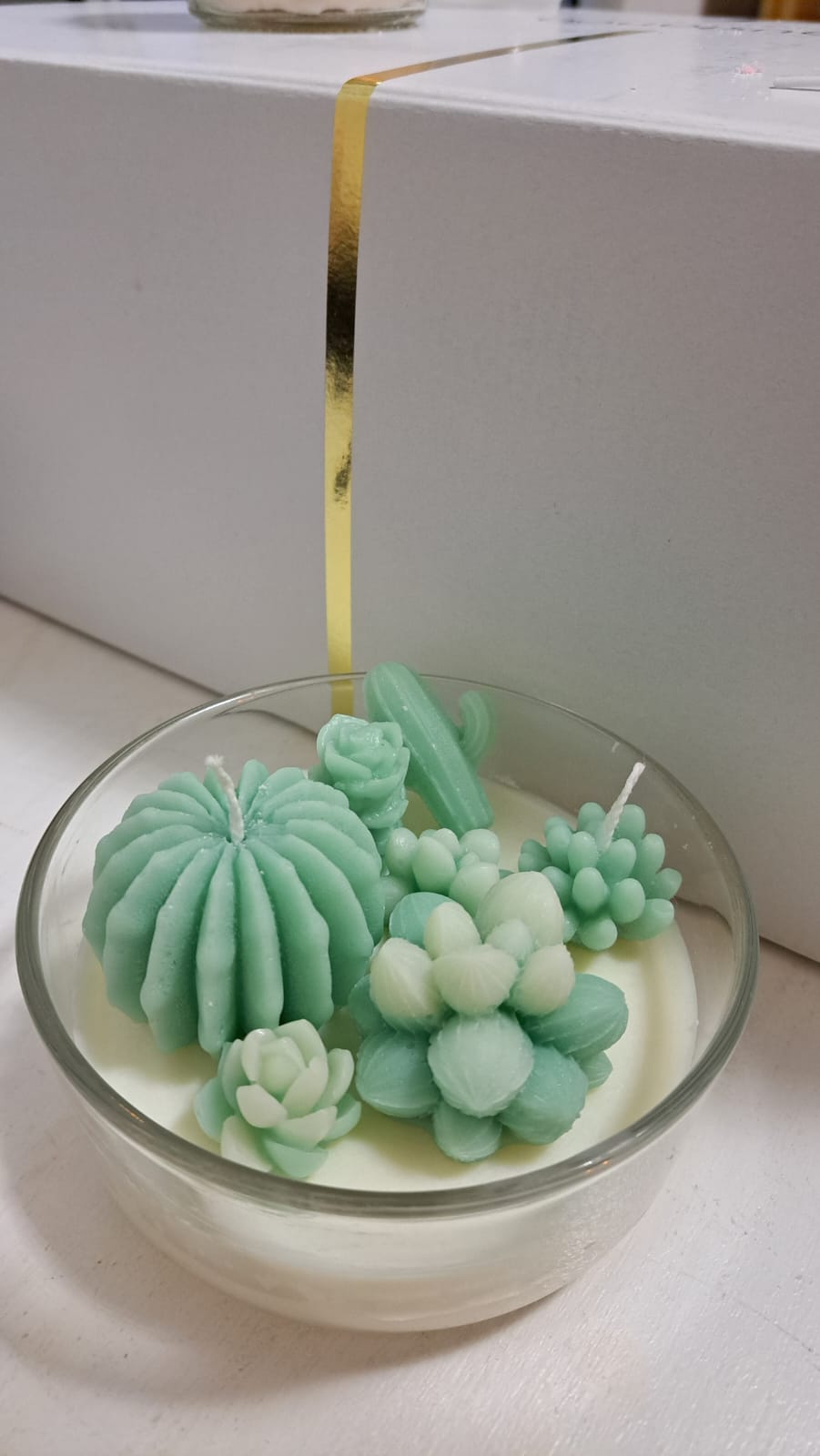 COMPOSIZIONE PIANTINE GRASSE