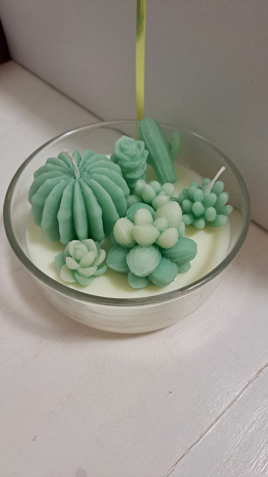 COMPOSIZIONE PIANTINE GRASSE