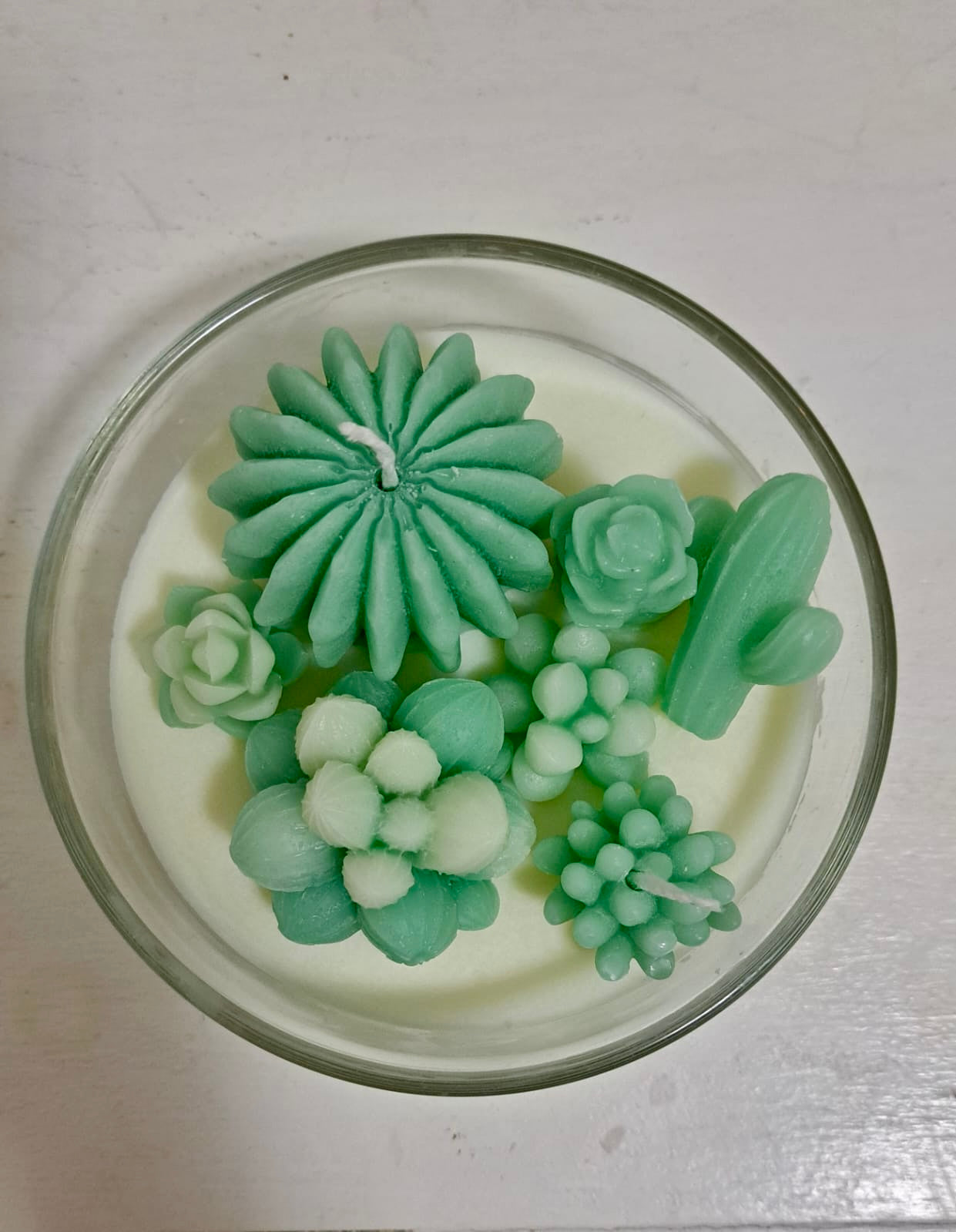 COMPOSIZIONE PIANTINE GRASSE