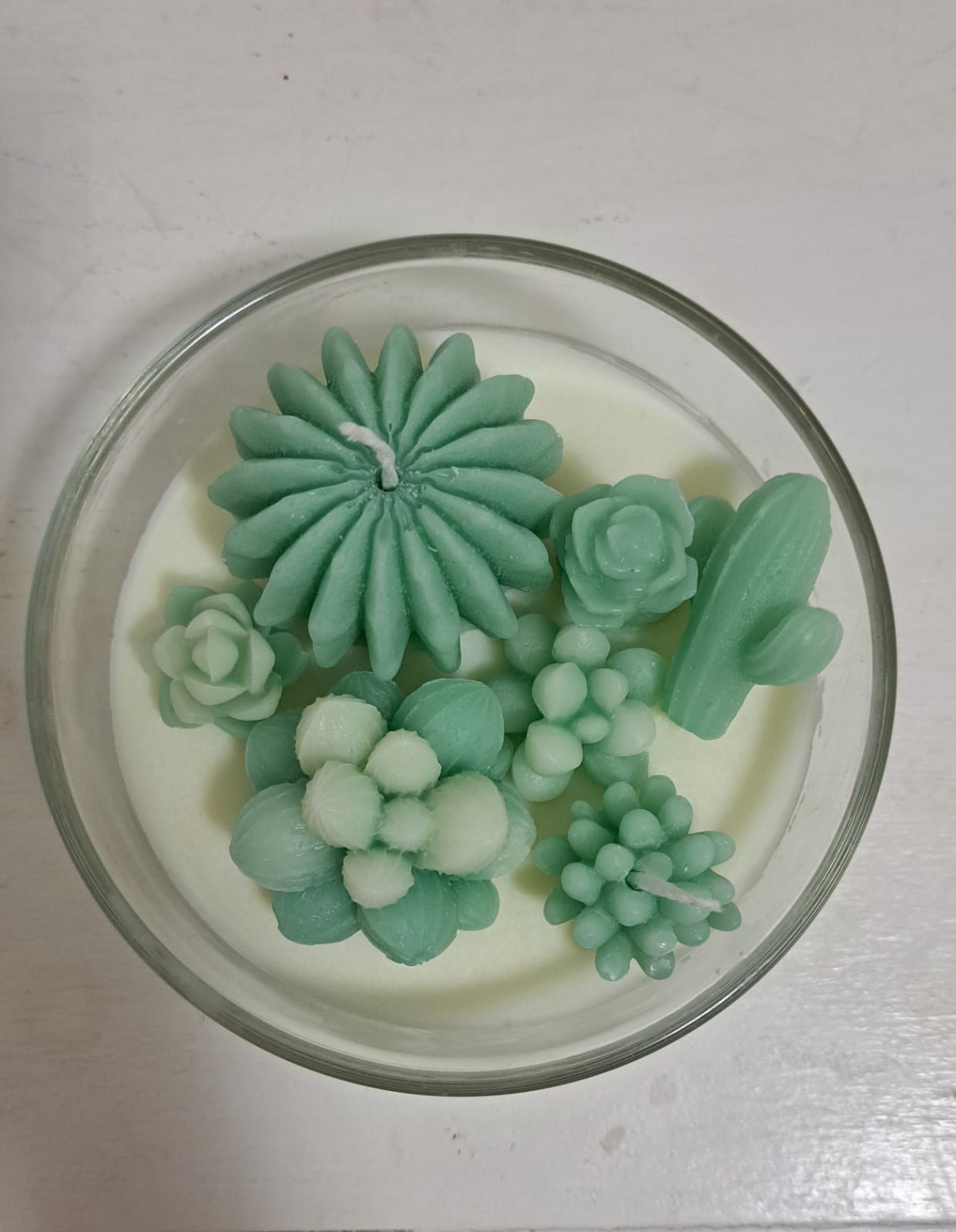 COMPOSIZIONE PIANTINE GRASSE