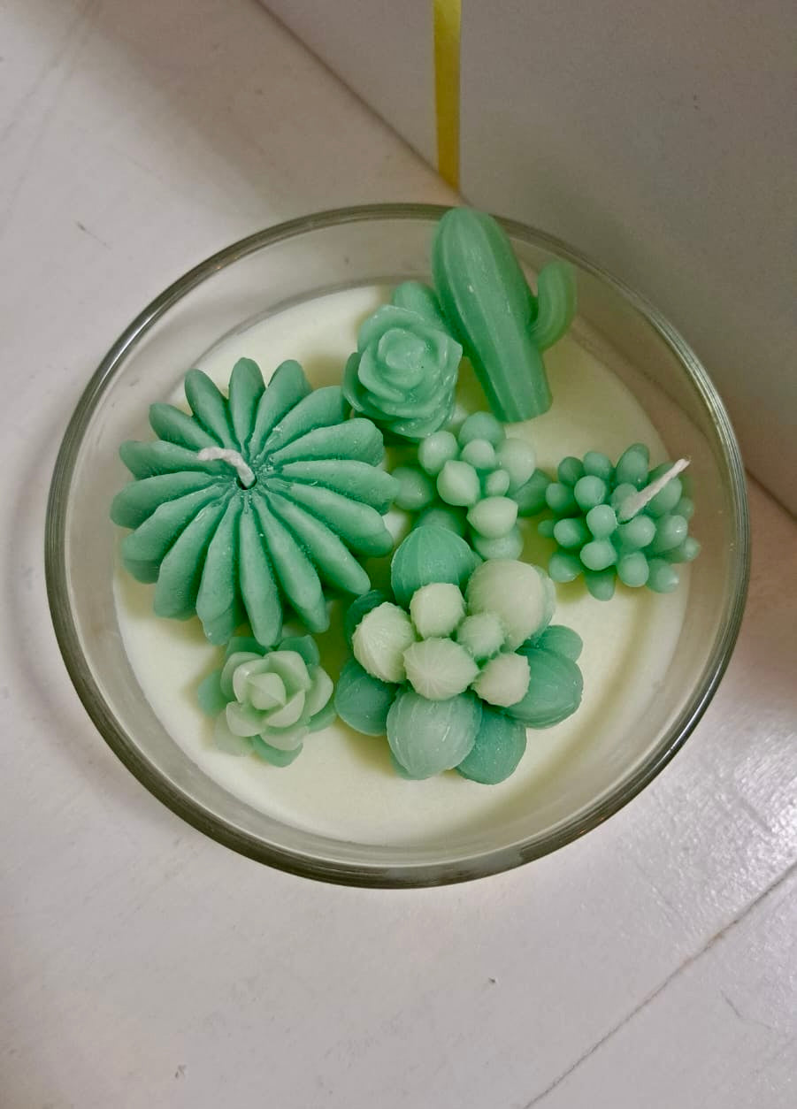 COMPOSIZIONE PIANTINE GRASSE