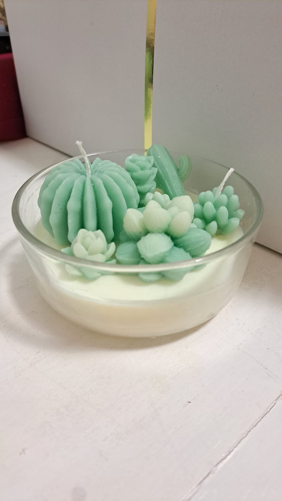 COMPOSIZIONE PIANTINE GRASSE