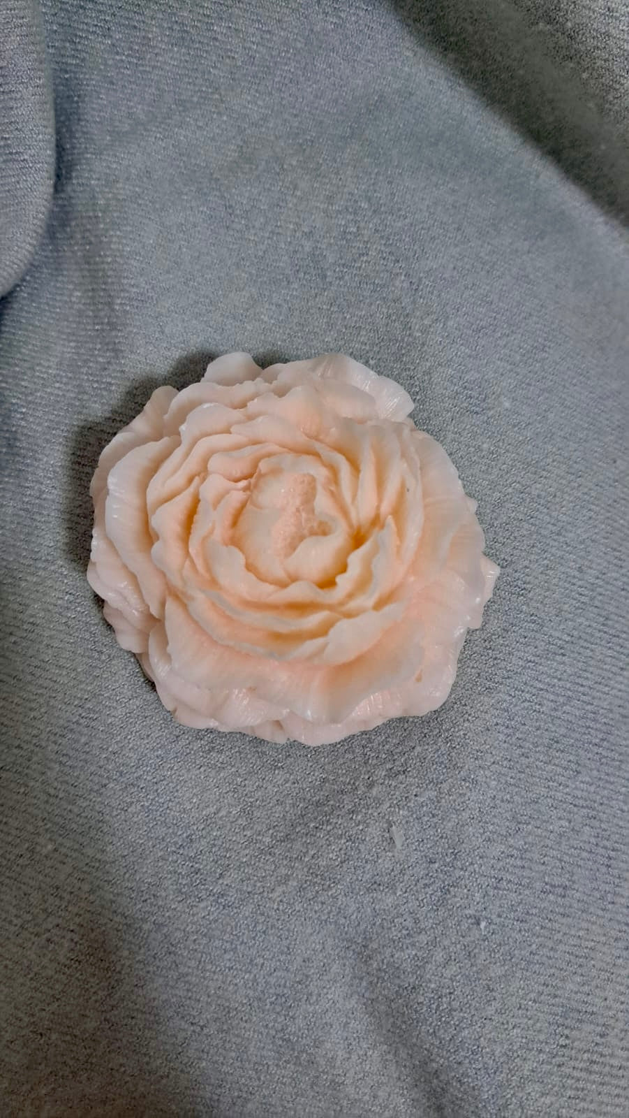 PEONIA